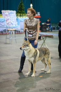 Gorthan Ocasta Laukar