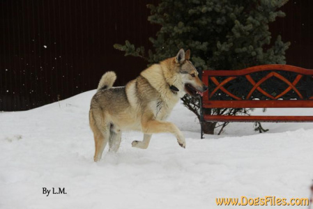 Taabernakkelin Pantheon