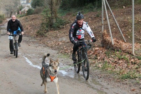 Lobos de la Fuensanta Xerox