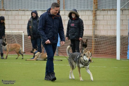 Lobos de la Fuensanta Xerox