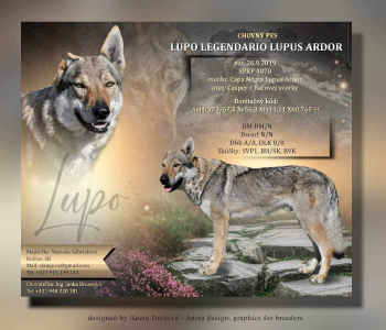 Lupo Legendario Lupus Ardor