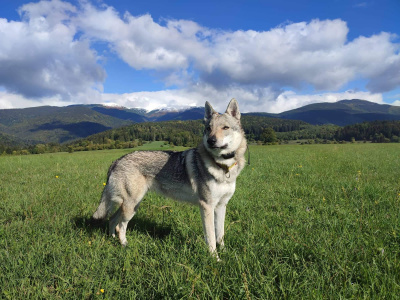 Lola Čierny ónyx