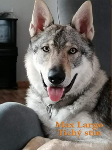 Max Largo Tichý stín