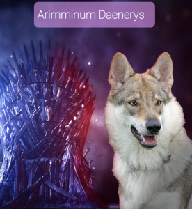 Arimminum Daenerys