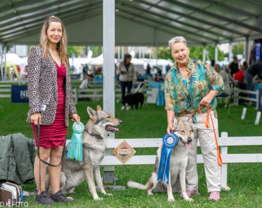 Jingle Bell z Rudého Údolí - Roňa