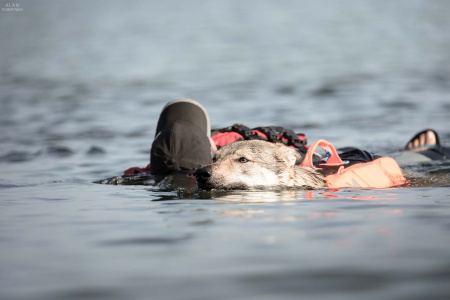 Apokalypso Chasing Glory