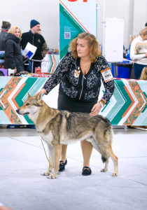 Infinity Pride Dionis The Almighty