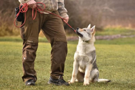 Our Morthy z Molu Es