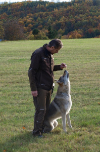 Our Morthy z Molu Es