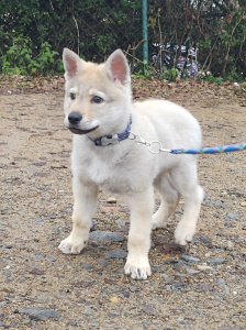 Our Morthy z Molu Es