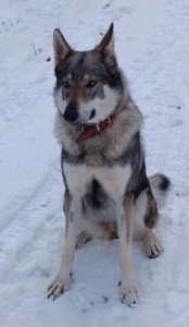 Astrid z Baťova údolí