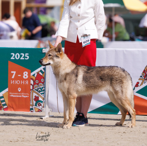 Moonlight Fantasy Halltor