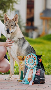 Moonlight Fantasy Halltor