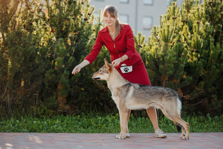 Moonlight Fantasy Halltor