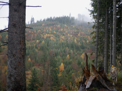 Inferno Chasing Glory