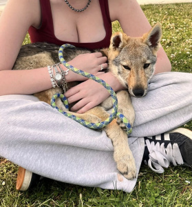 Arkham du Domaine de Ragnarok