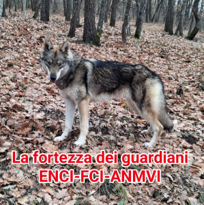 Eraclea La fortezza dei guardiani