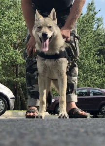 Zhan Blagodatnii krai